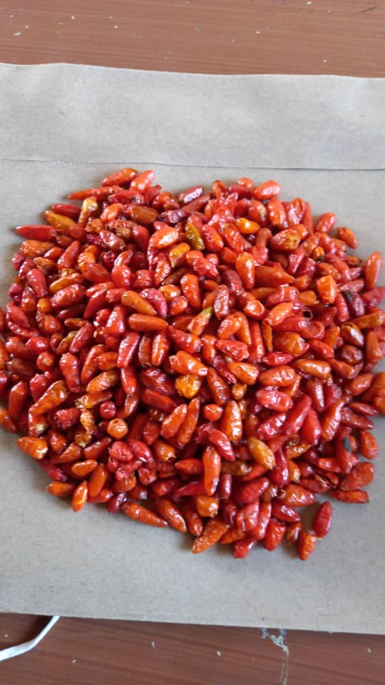 Chilli Pepper Sample