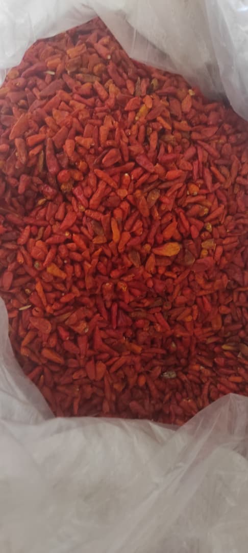 Chilli Pepper Sample