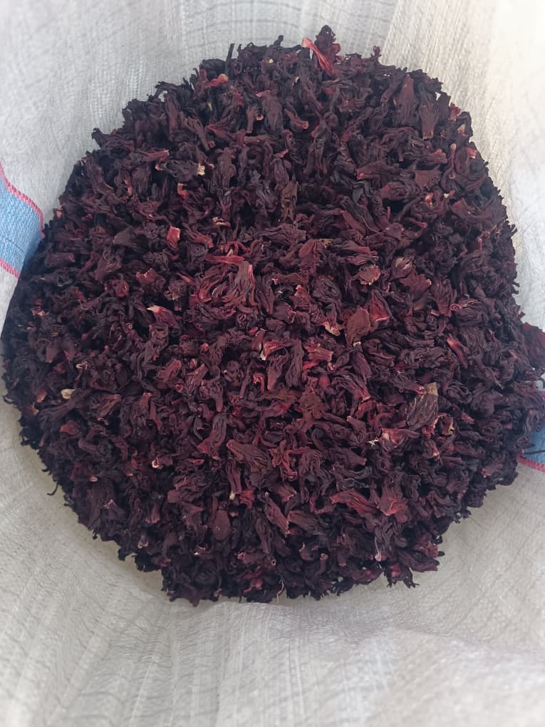 Habiscus Flower Sample