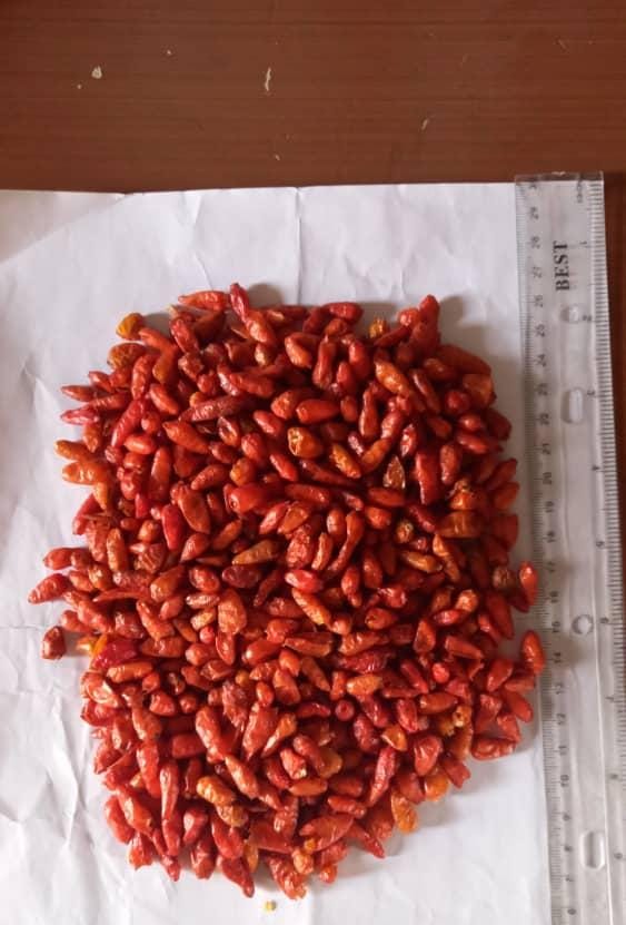 Gum Arabic Sample
